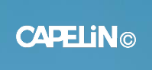 Capelin Crew Ski, Snowboard & Outdoor Gear logo