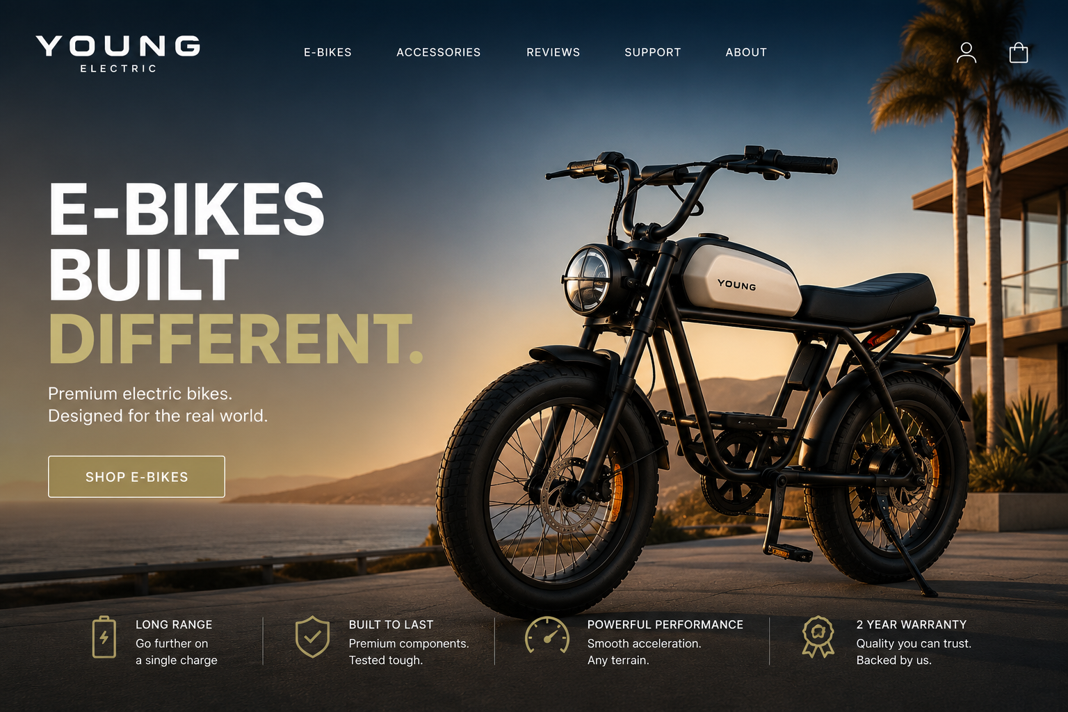 Young Electric electric bikes and cycling accessories showcasing long-range and folding e-bike models for commuting and outdoor adventures.